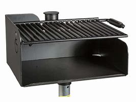 park grill with swing grate